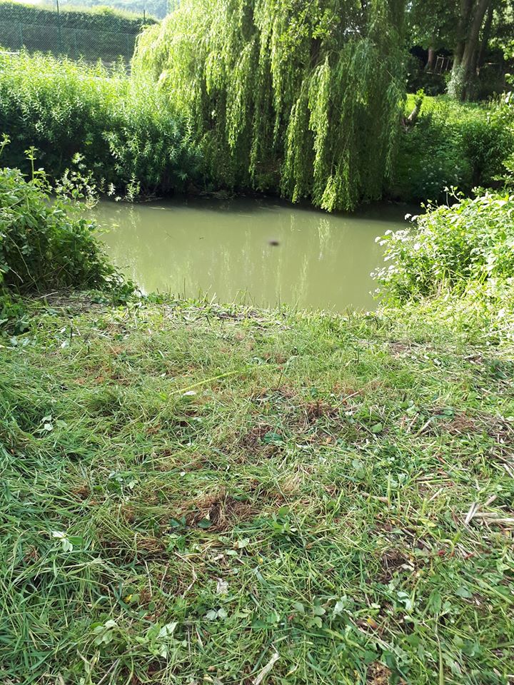 The Petersfield & District Angling Club