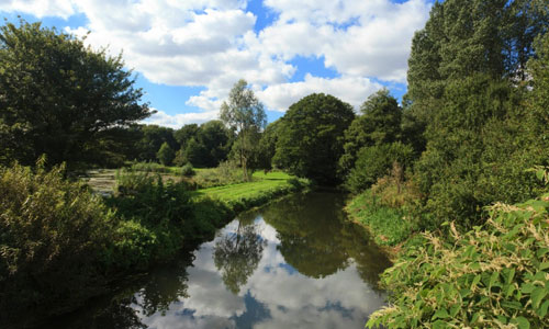 Chilham Mill Fisheries