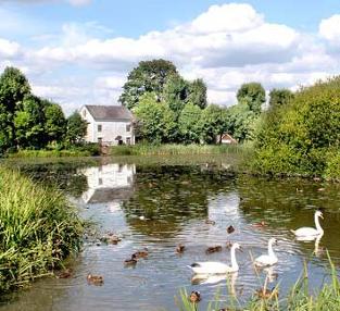 Ifield Mill Pond