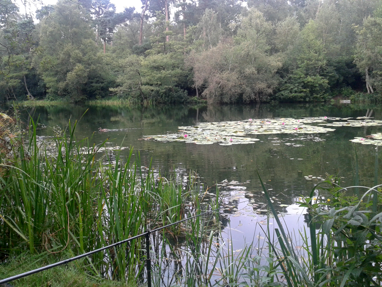 Central Association of London & Provincial Angling Clubs