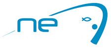 North East Tackle Supplies Ltd