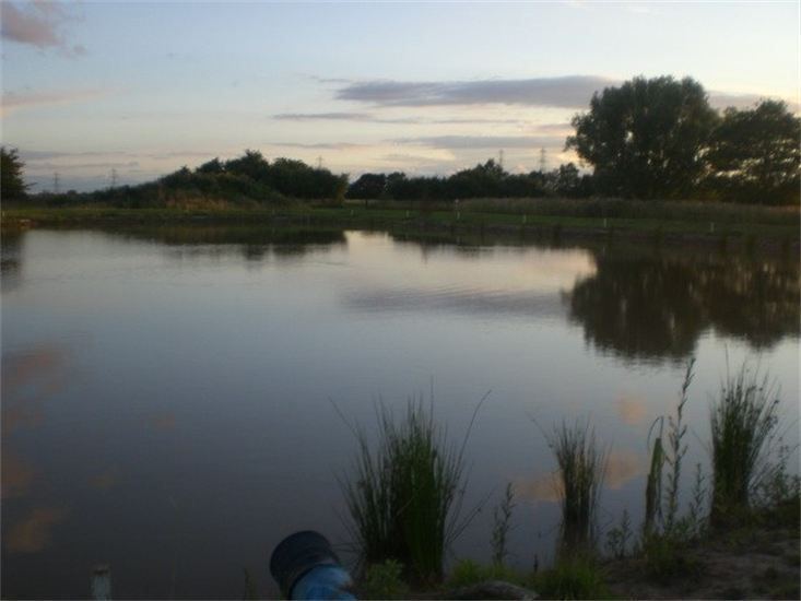 Owston Ferry Fisheries