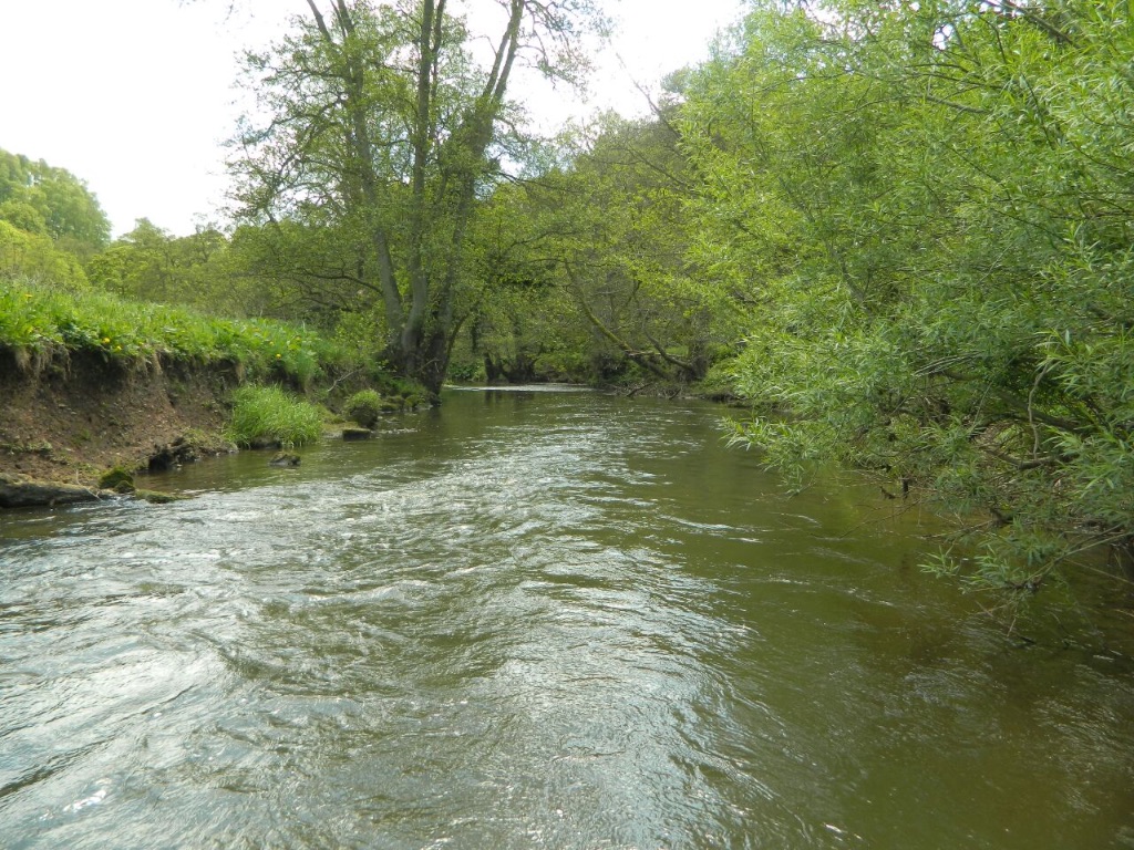 River Churnet