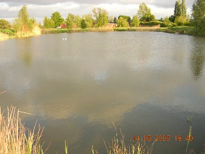Townsend Lakes Fishery