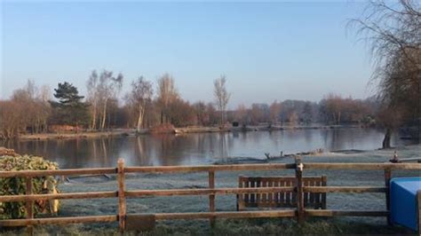 Willow Park Fishery