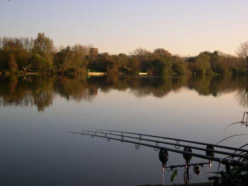 Dartford & District Angling and Preservation Society